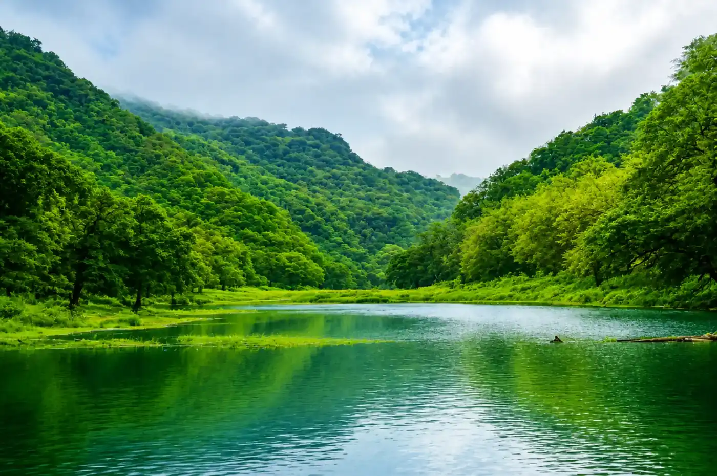 Khareef mist over Dhofar hills
