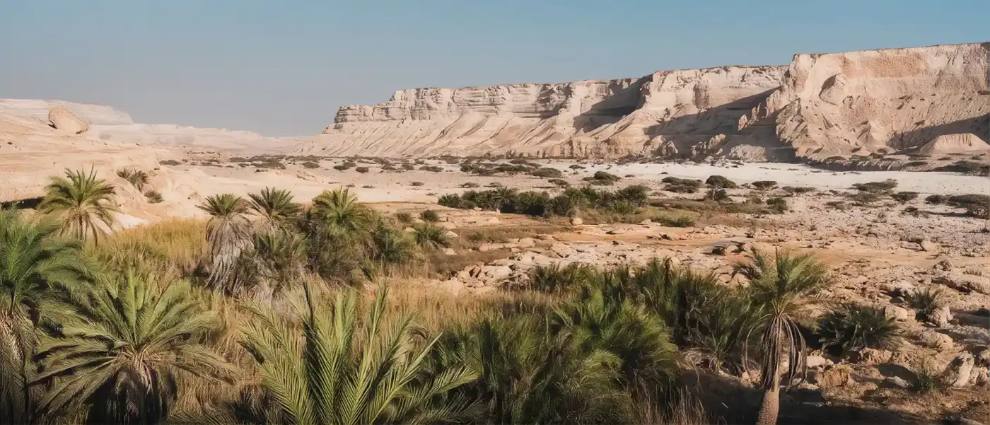 Dhofar landscape during Khareef